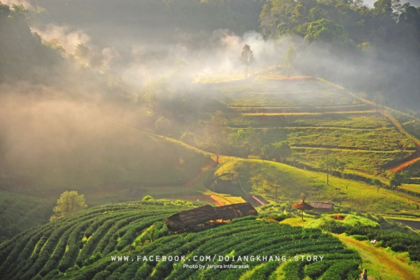 ดอยอ่างขาง