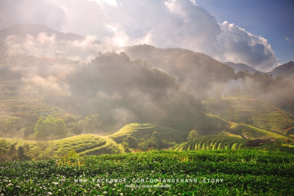 ดอยอ่างขาง