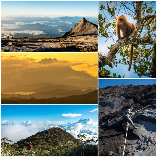 Kinabalu