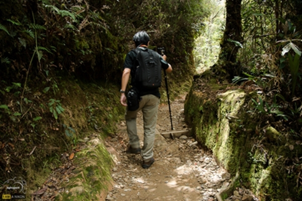 Kinabalu