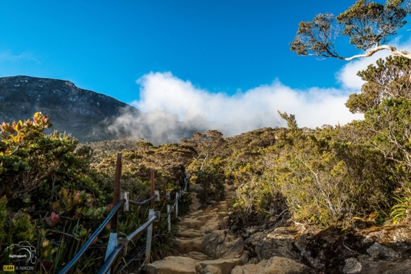 Kinabalu