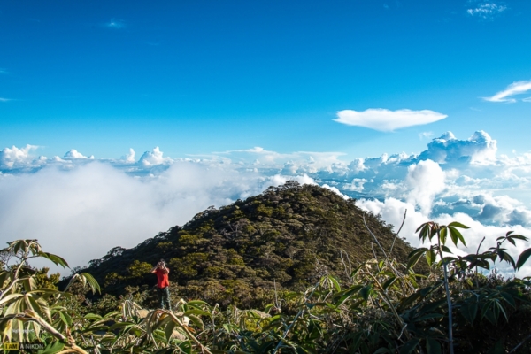 Kinabalu