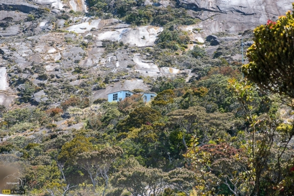 Kinabalu