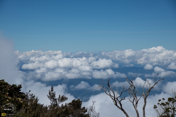 Kinabalu