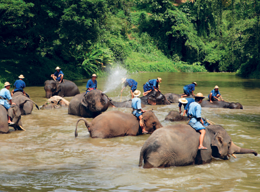 ลำปาง