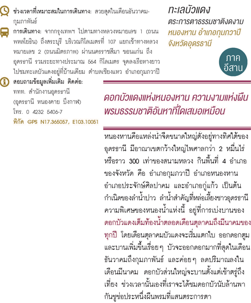 ทะเลบัวแดง