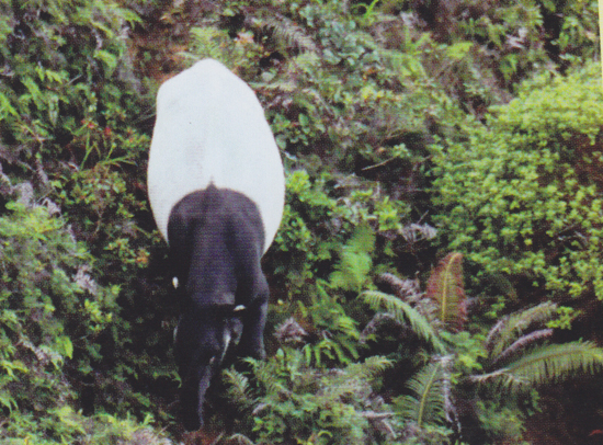 เขาล่อน