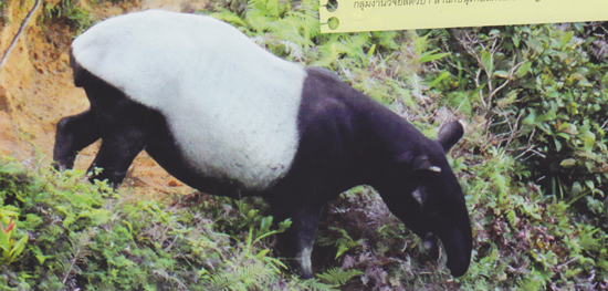 เขาล่อน