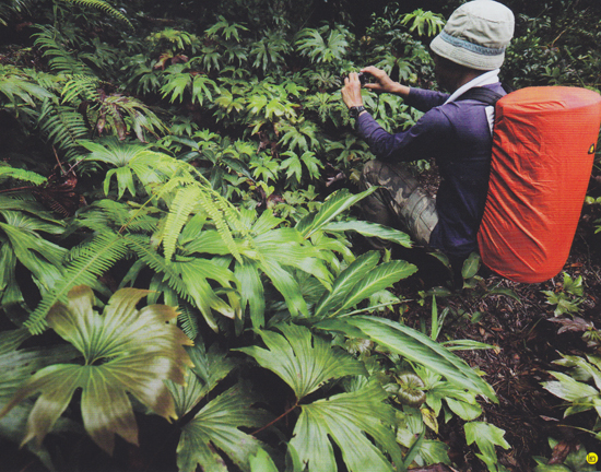 เขาล่อน