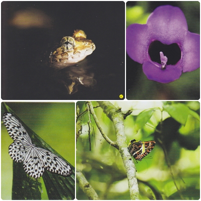 เขาล่อน