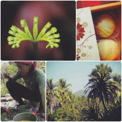 เขาล่อน