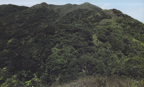 เขาล่อน