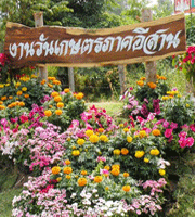งานวันเกษตรภาคอีสาน 