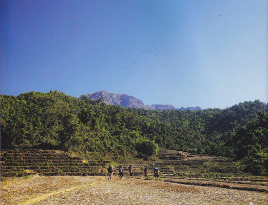 ดอยทูเล