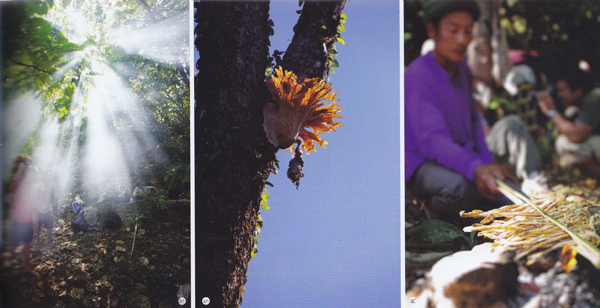 ม่อนทูเล