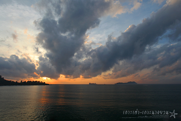 เกาะนางยวน