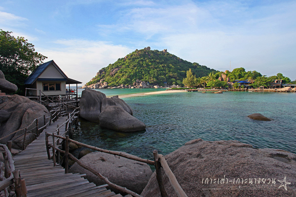 เกาะนางยวน