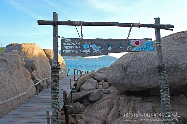เกาะนางยวน