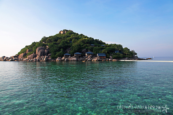 เกาะนางยวน