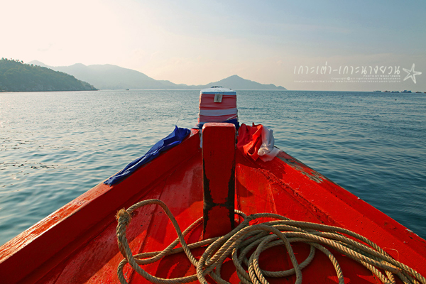 เกาะเต่า