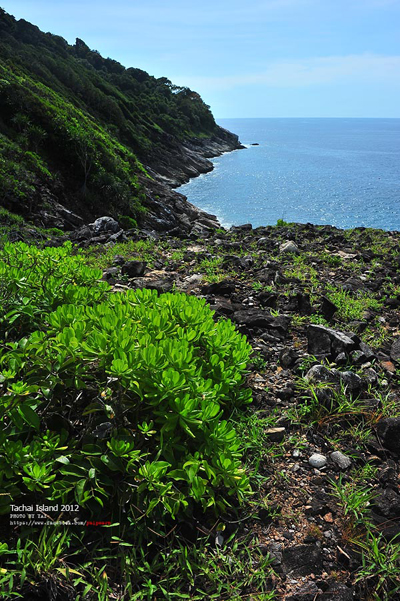 เกาะตาชัย เกาะตาชัย