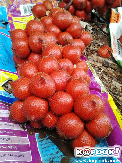 จันทบุรี