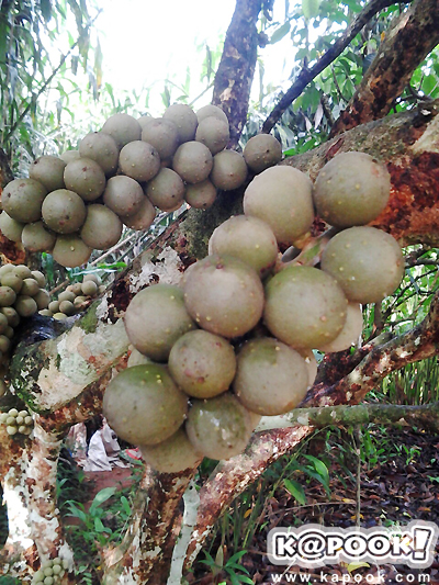 จันทบุรี