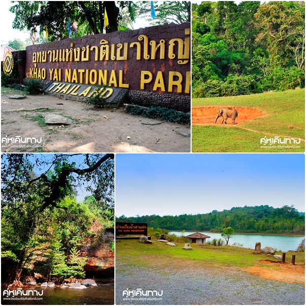 เขาใหญ่