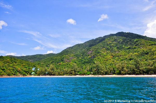 เกาะพะงัน