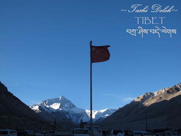 ลาซา