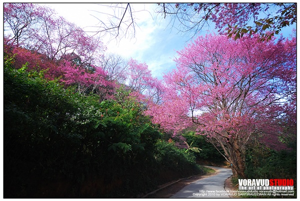 ขุนช่างเคี่ยน