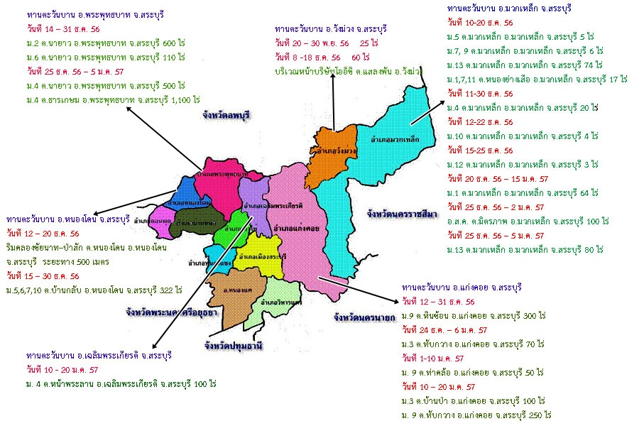 ทุ่งทานตะวัน 2556