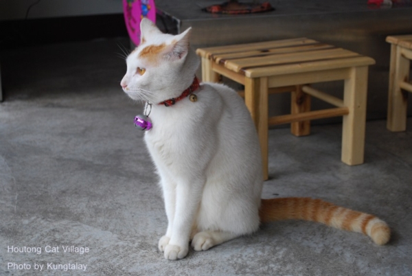 ไต้หวัน