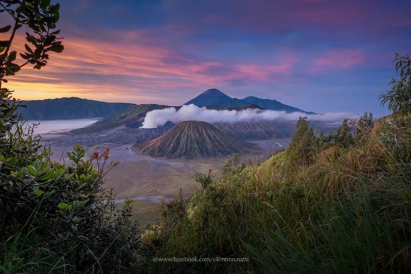 Bromo