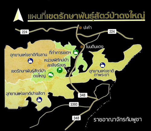 ดงใหญ่