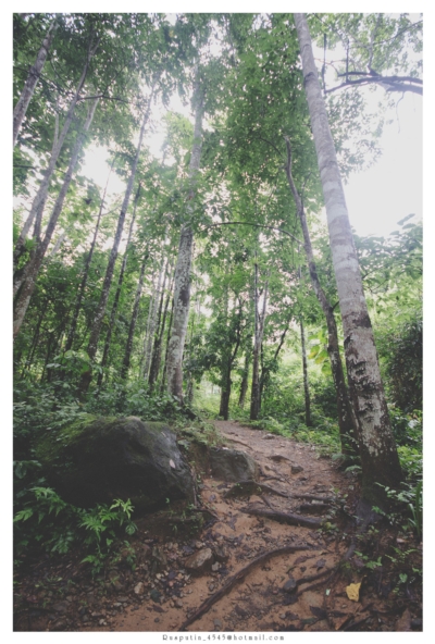วังเวียง