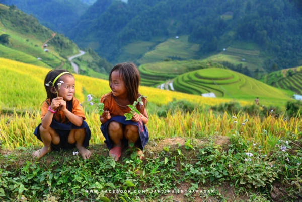 นาขั้นบันได เวียดนาม