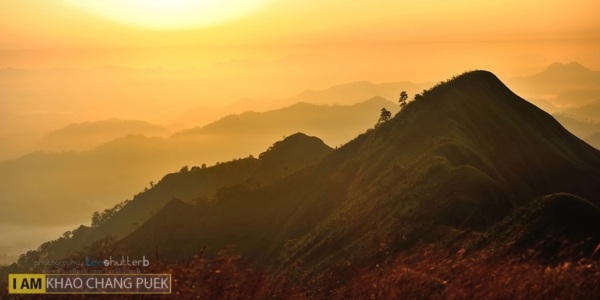 เขาช้างเผือก