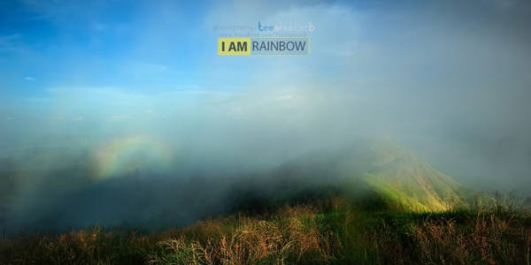 เขาช้างเผือก