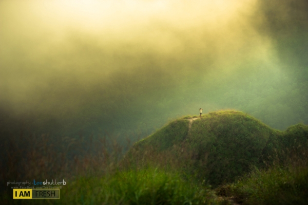 เขาช้างเผือก