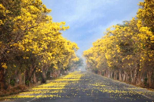 Dream Destinations 2 