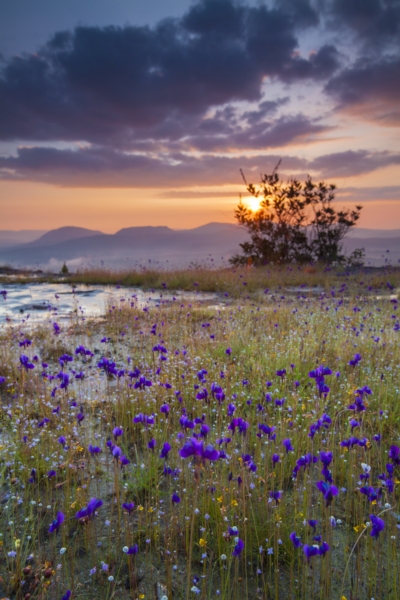 Dream Destinations 2 