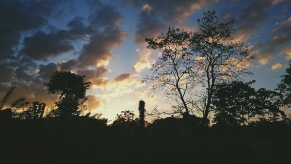 วังเวียง