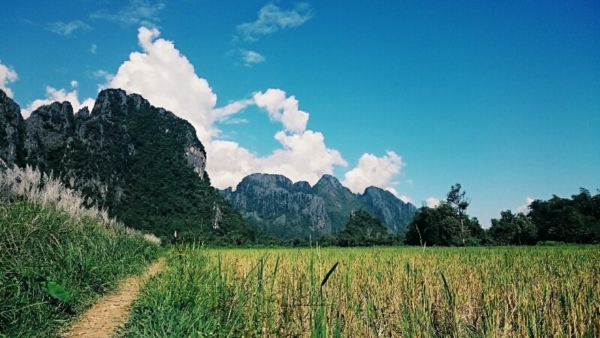 วังเวียง