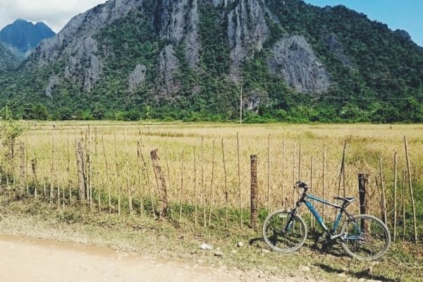 วังเวียง