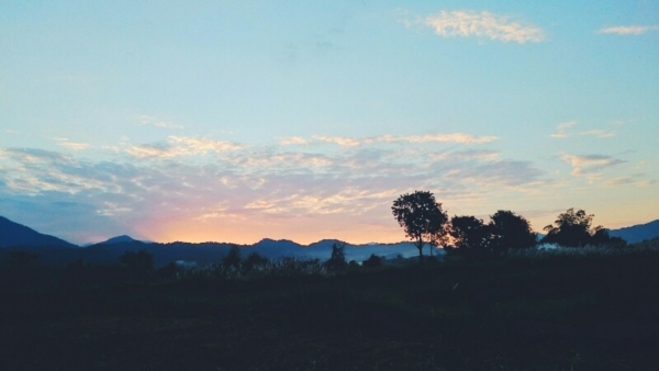 วังเวียง