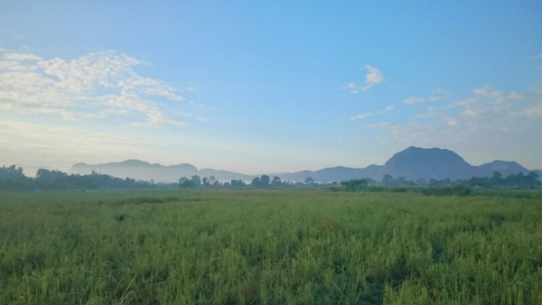 วังเวียง