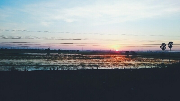 วังเวียง