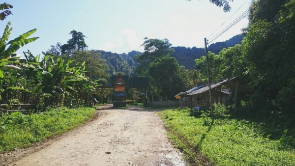วังเวียง