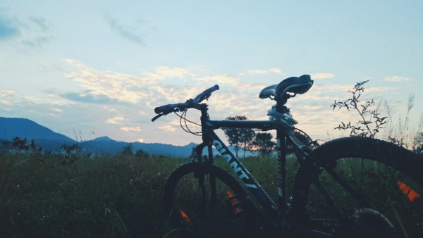 วังเวียง
